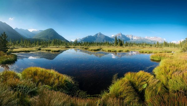 Guide ultime pour décrocher une croisière de dernière minute